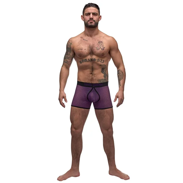 Airotic Mesh Enhancer Short - Purple - Large