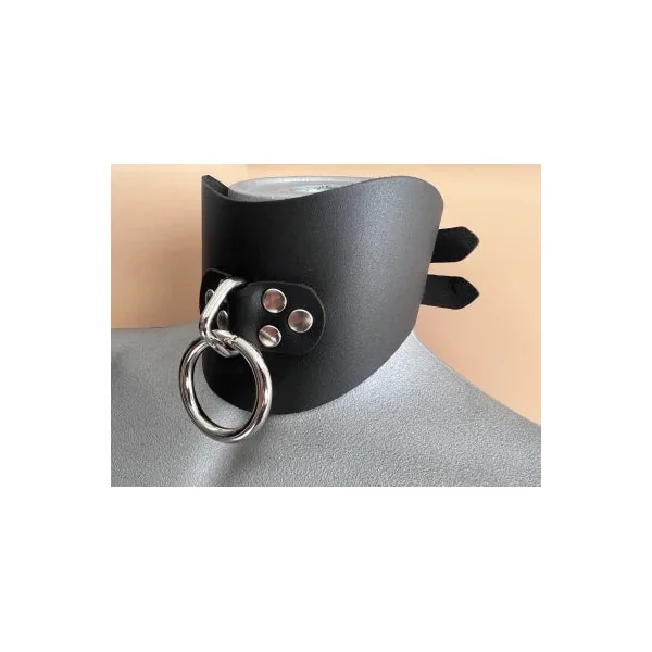 Basic Leather Posture Collar