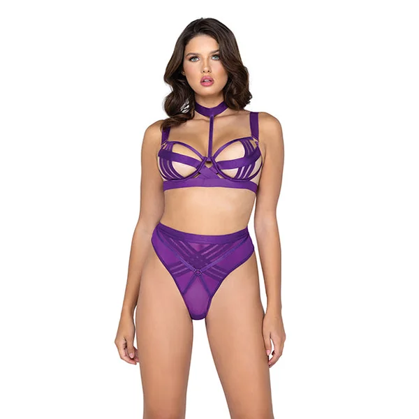 Bondage Stripe Demi Cup Underwire Bra & Panty Purple Xl