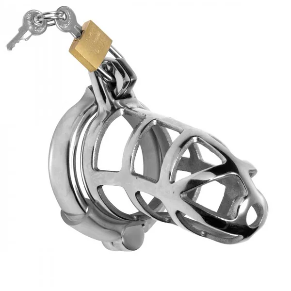 Detained Locking 3 Inch Stainless Steel Chastity Cage