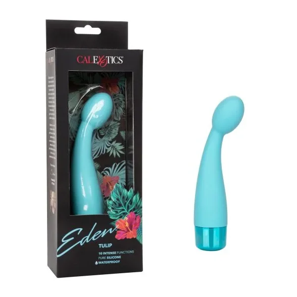 Eden Tulip