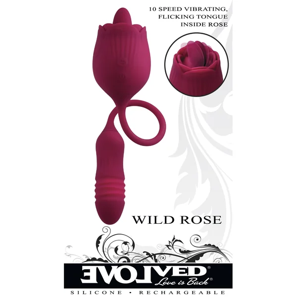 EVOLVED WILD ROSE