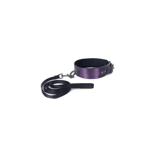 Galaxy Legend Collar and Leash