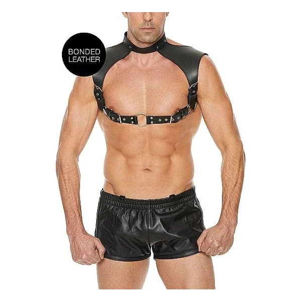 Harness - Ouch! - Men Harness with Neck Collar - One Size