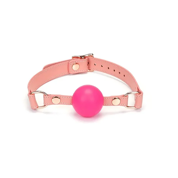 Pink Dream Collection Leather & Silicone Ball Gag