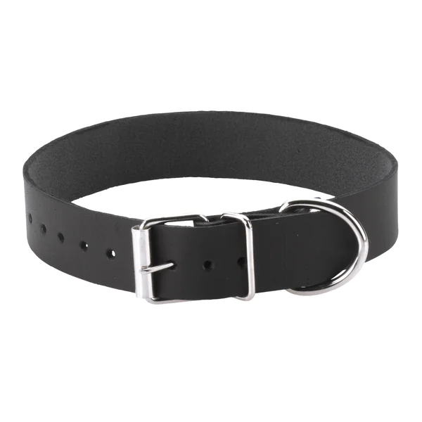 PLAIN COLLAR 1IN W/BUCKLE & D RING