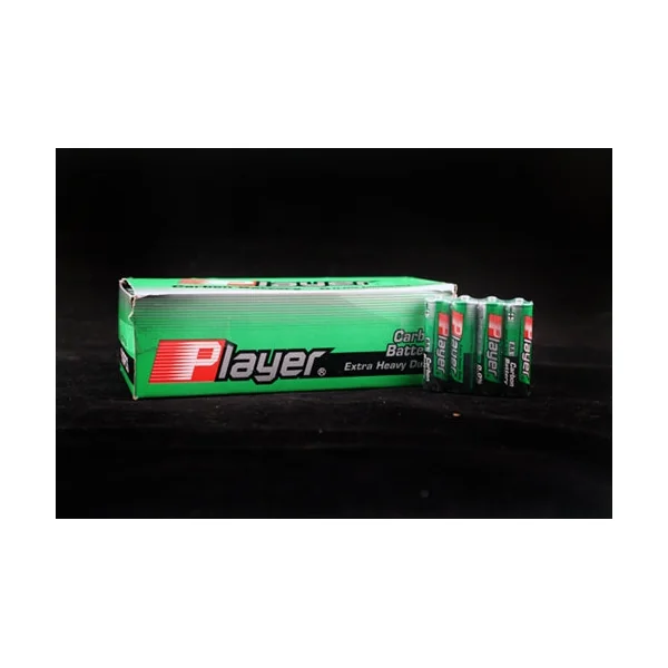 Player Extra Heavy Duty AA Batteries - 60 Count Box