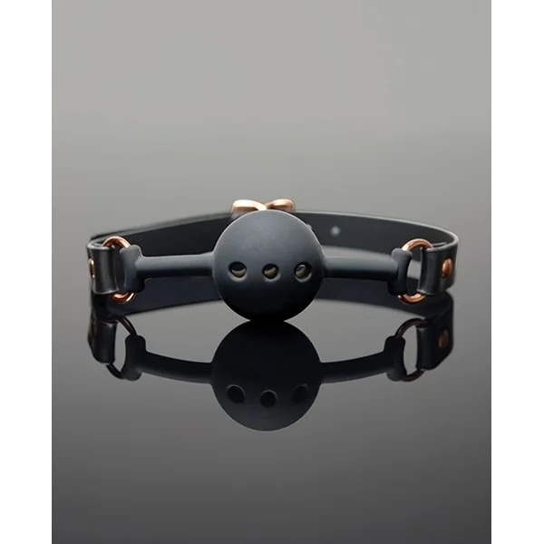 Pleasure Collection Adjustable Ball Gag