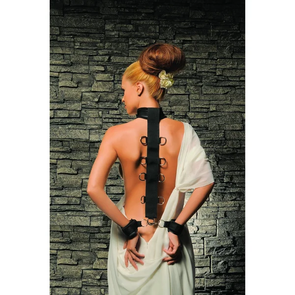 PREMIUM NECK & WRIST RESTRAINT
