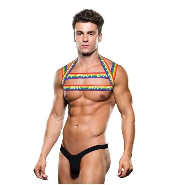 RAINBOW HARNESS – L/XL