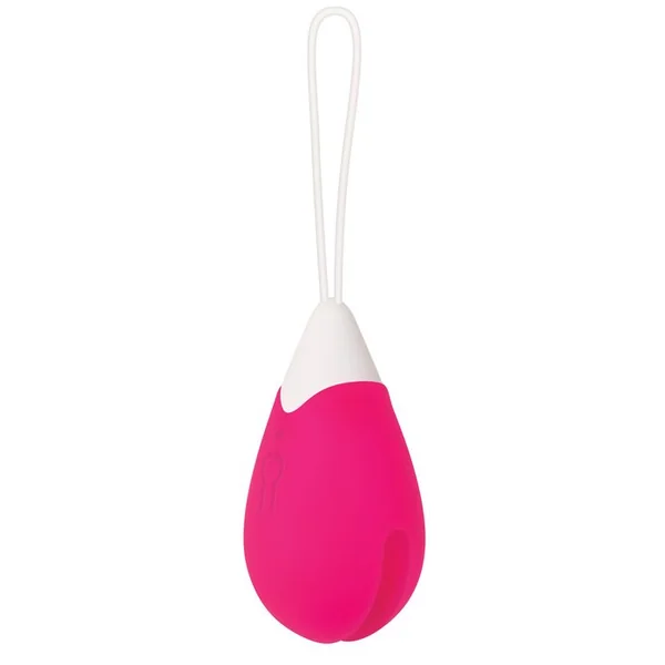 RECHARGEABLE EGG PINK VIBRATOR REMOTE CONTROL