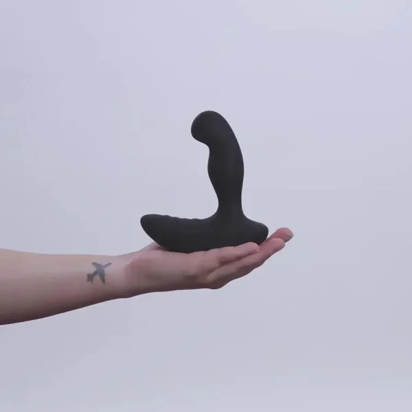 Ride Remote Control Prostate Dual Motor Vibrator