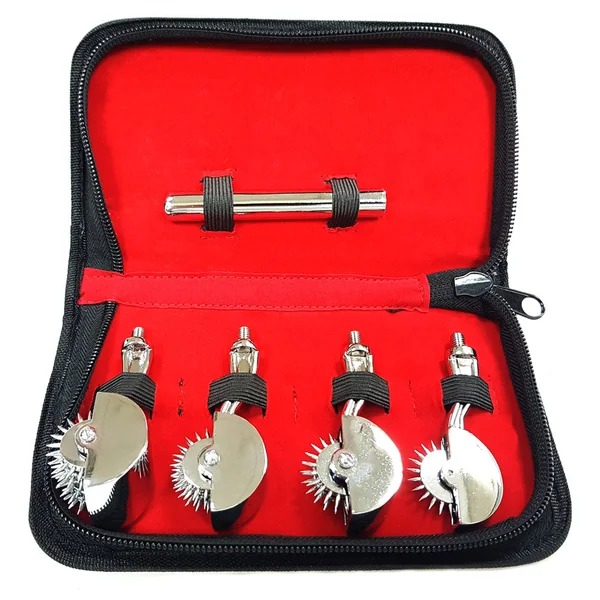Rouge 4-Piece Wartenberg Pinwheel Set With Case