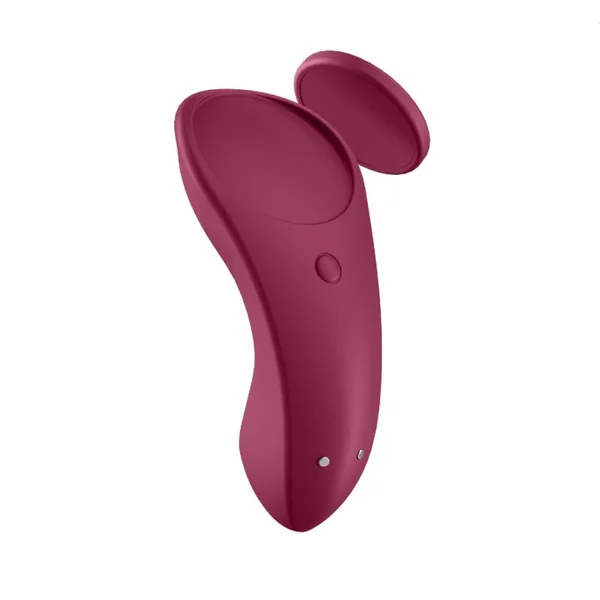 Satisfyer Sexy Secret Panty Vibe Connect App