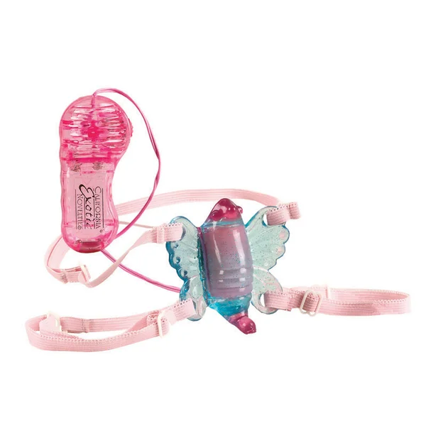 SHANES WORLD VENUS BUTTERFLY