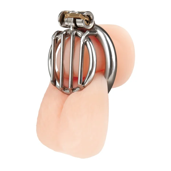 Stainless Steel Inverted Micro Jail Time Chastity Cage