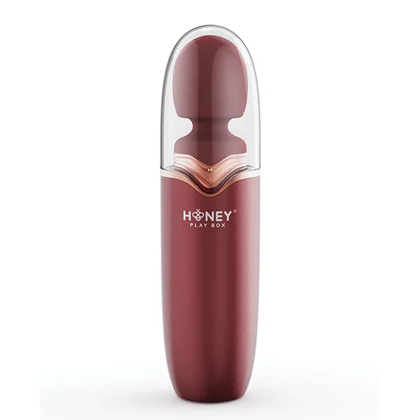 STORMI Powerful Wand Massager w/Charging Case