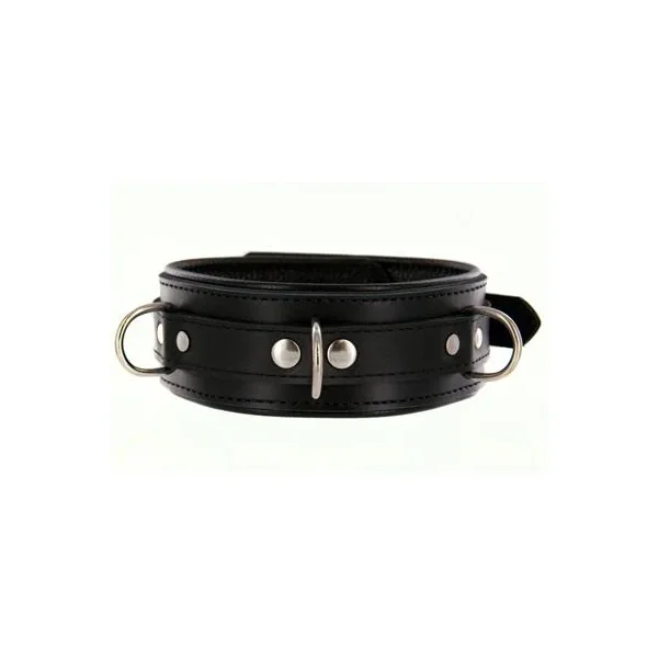 Strict Leather Premium Locking Collar