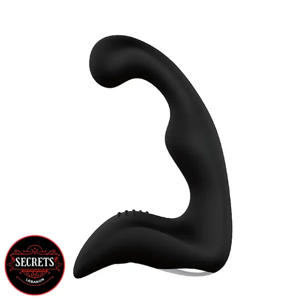 The “Landy” Prostate Vibrator