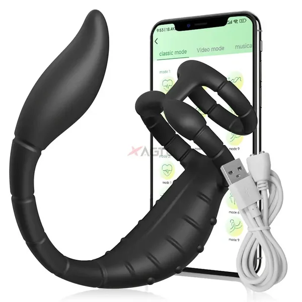 Vibrating Cock Ring Vibrator Anal Vibrator With Bullet Prostate Massager