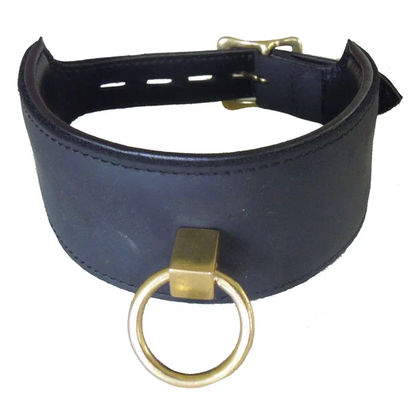 Wide Lockable Leather Collar